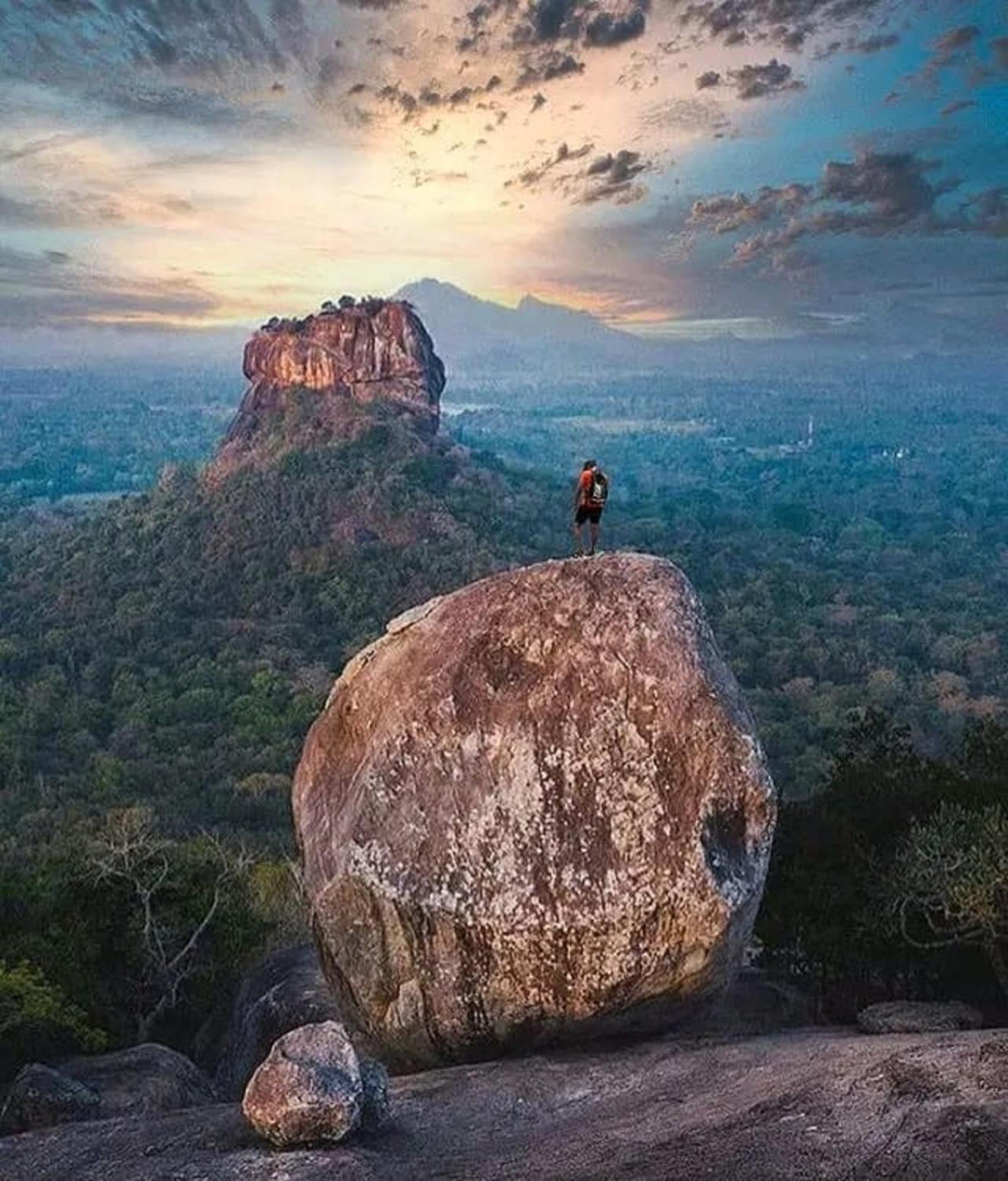 Sigiri Birds Hostel Sigiriya Buitenkant foto
