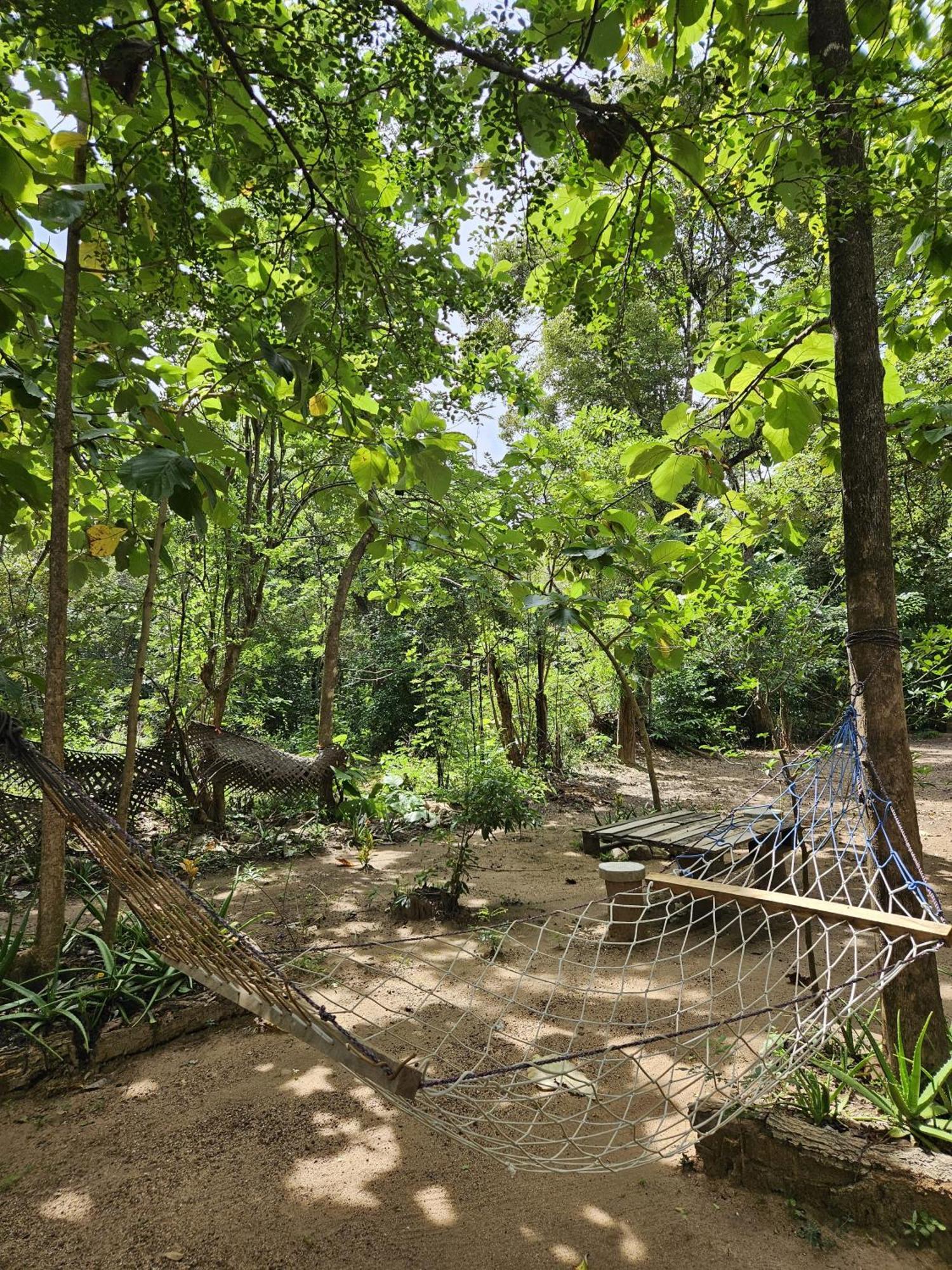 Sigiri Birds Hostel Sigiriya Buitenkant foto